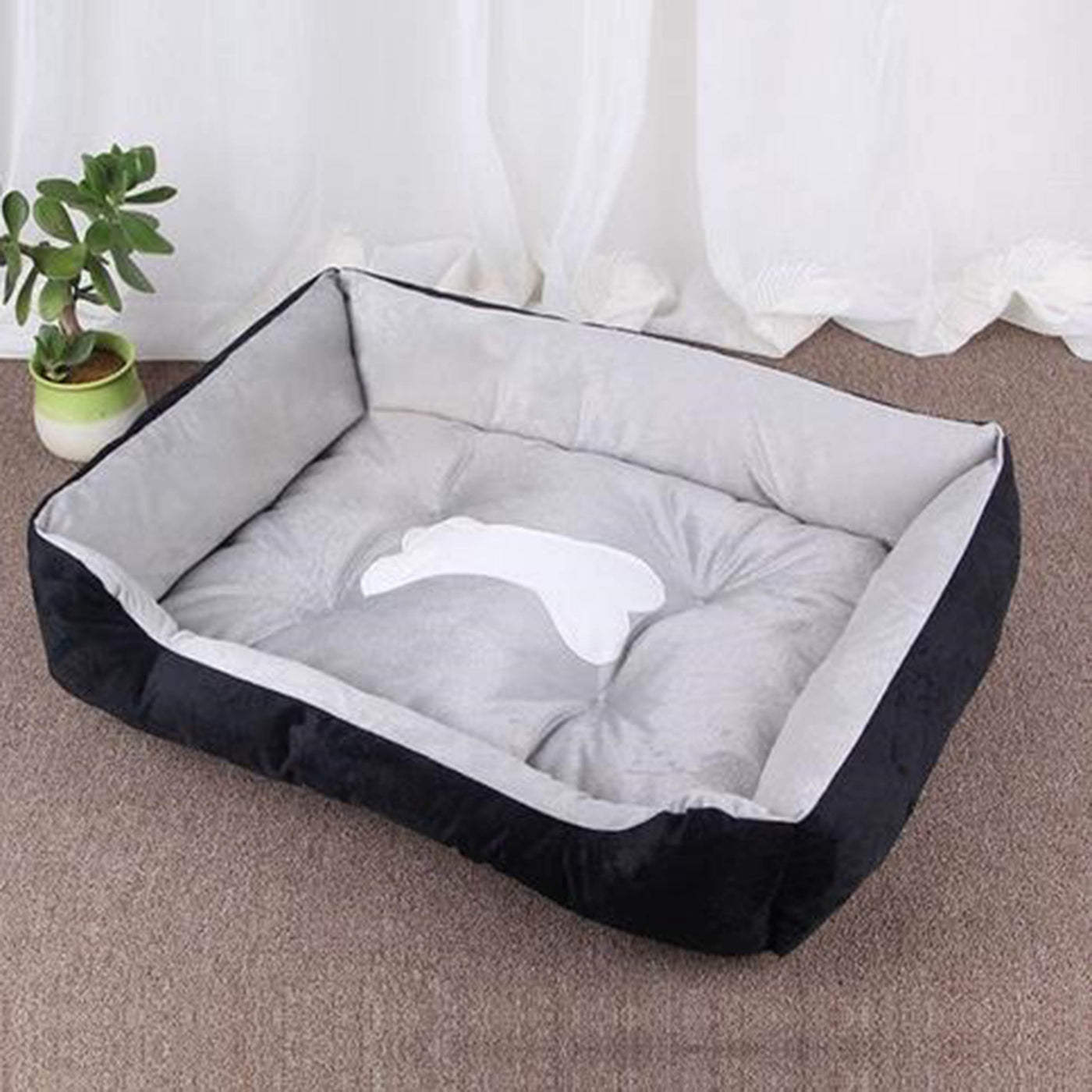 Cushion
