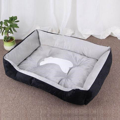 Cushion